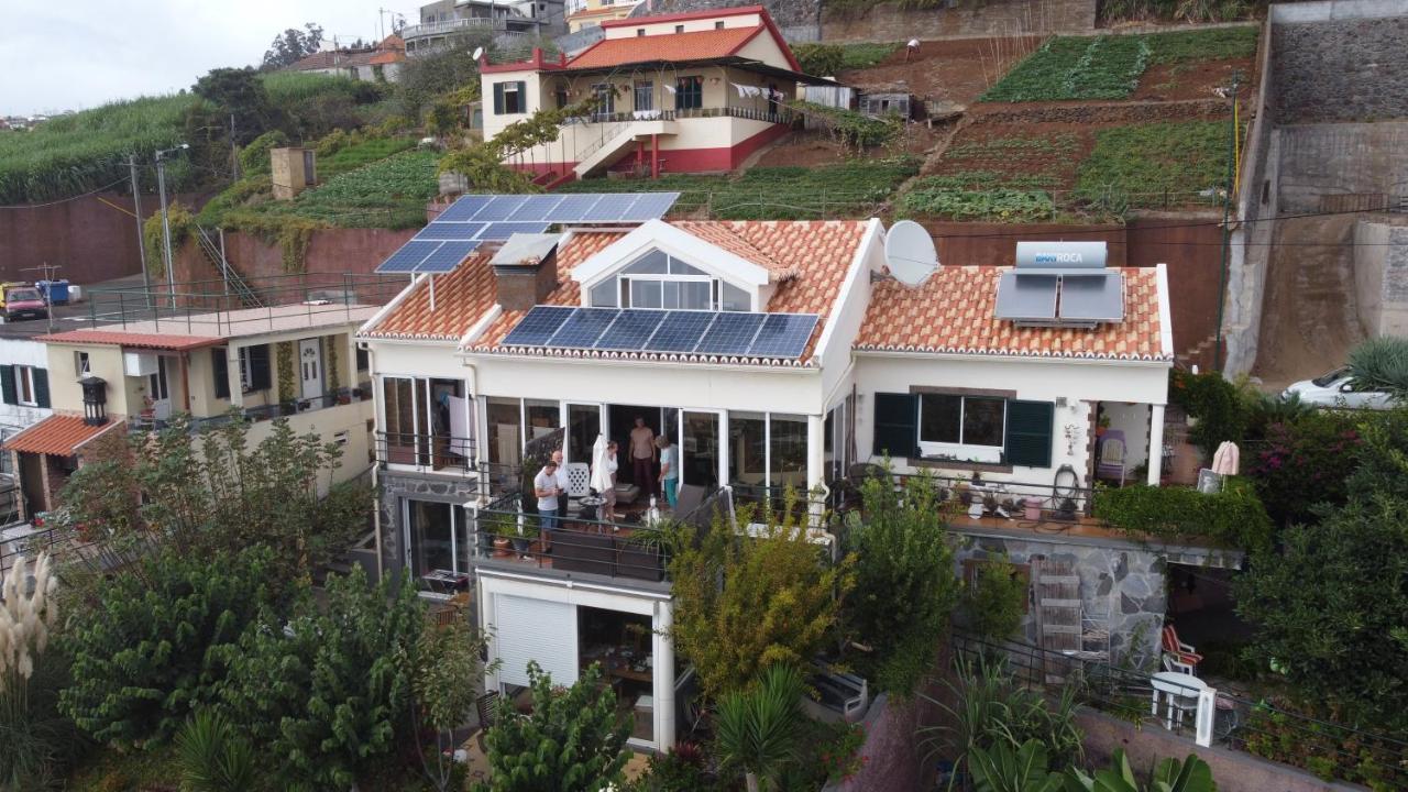 Casa-albatros *